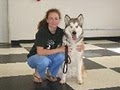 Park Cities Obedience School image 4