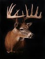 Parsons Taxidermy and Wild Game Processing image 1