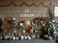 Paul's Pumpkin Patch image 2