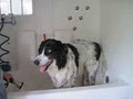Pawz Fur Beauty - Mobile Dog Grooming & Spa image 2