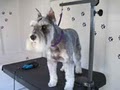 Pawz Fur Beauty - Mobile Dog Grooming & Spa image 4