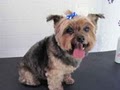 Pawz Fur Beauty - Mobile Dog Grooming & Spa logo