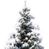 Pell Farms: Cut Your Own Christmas Trees logo