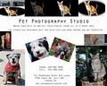 Pet Studio 1 image 2