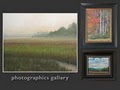 Photographics Portrait Photography and Art Gallery image 7