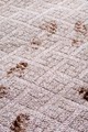 Professional Carpet Cleaners and Commercial Carpet Cleaners image 4