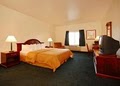 Quality Inn image 7