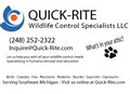 Quick-Rite Wildlife Control Specialists image 4