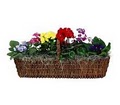 Radebaugh Florist and Greenhouses image 5