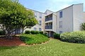 Raleigh Apartments- The Lakes Apts image 2