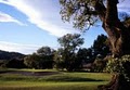Rancho Solano Golf Course image 5