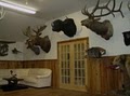 Red Hill Taxidermy image 1