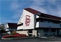 Red Roof Inn image 6