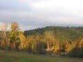 River Cabin at Grove River Ranch image 10