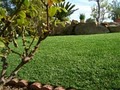 SYNLawn image 4