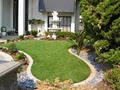 SYNLawn image 6