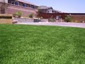 SYNLawn image 10