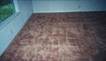 San Antonio Carpet Clean and Upholstery Care image 6