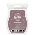 Scentsy - Scent of the Rockies image 8