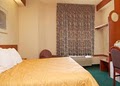 Sleep Inn image 5