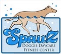 SpawZ Doggie Daycare & Fitness Center image 5