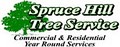 Spruce Hill Tree Services logo