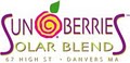Sunberries Smoothies and Espresso logo