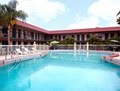Super 8 Daytona Beach FL/ Speedway Area image 4