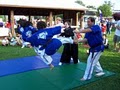 Sykesville Tae Kwon DO Academy image 2