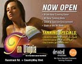 Tan Utopia image 6