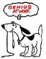 The Dallas Dog Trainer image 9