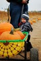 The Farmstead Corn Maze and Pumpkin Festival image 8