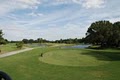 The Groves Golf Course logo