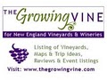 The Growing Vine logo