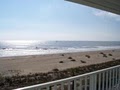 The Islander Inn Ocean Isle Beach, NC Hotel image 7