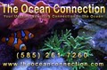 The Ocean Connection logo