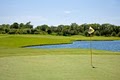 The Preserve Golf Club "Best Greens In Bradenton" image 5