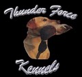 Thunder Force Kennels image 1