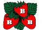 Triple B Farms logo