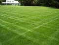 Turfdr LLC image 4