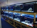 Ultimate Aquariums image 2