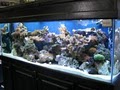 Ultimate Aquariums image 6