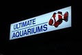 Ultimate Aquariums image 1