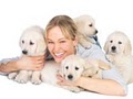 Ventura Pet Sitters and Dog Walkers image 4
