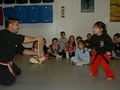 Vinjo's Karate / Martial Arts image 6