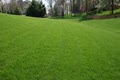 Virginia Green Lawn Care Company image 2
