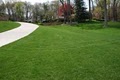 Virginia Green Lawn Care Company image 4
