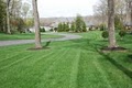 Virginia Green Lawn Care Company image 5