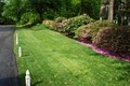 Virginia Green Lawn Care Company image 6