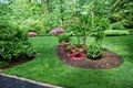 Virginia Green Lawn Care Company image 7